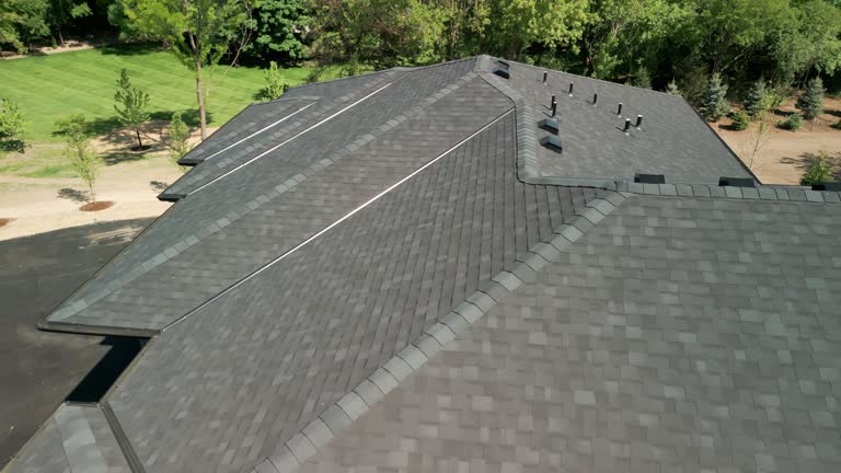 Best Roof Ventilation Installation  in Pickens, MS