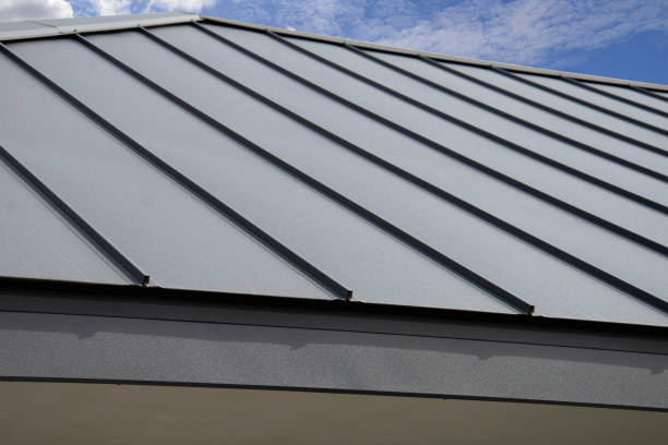 Skylights in Pickens, MS